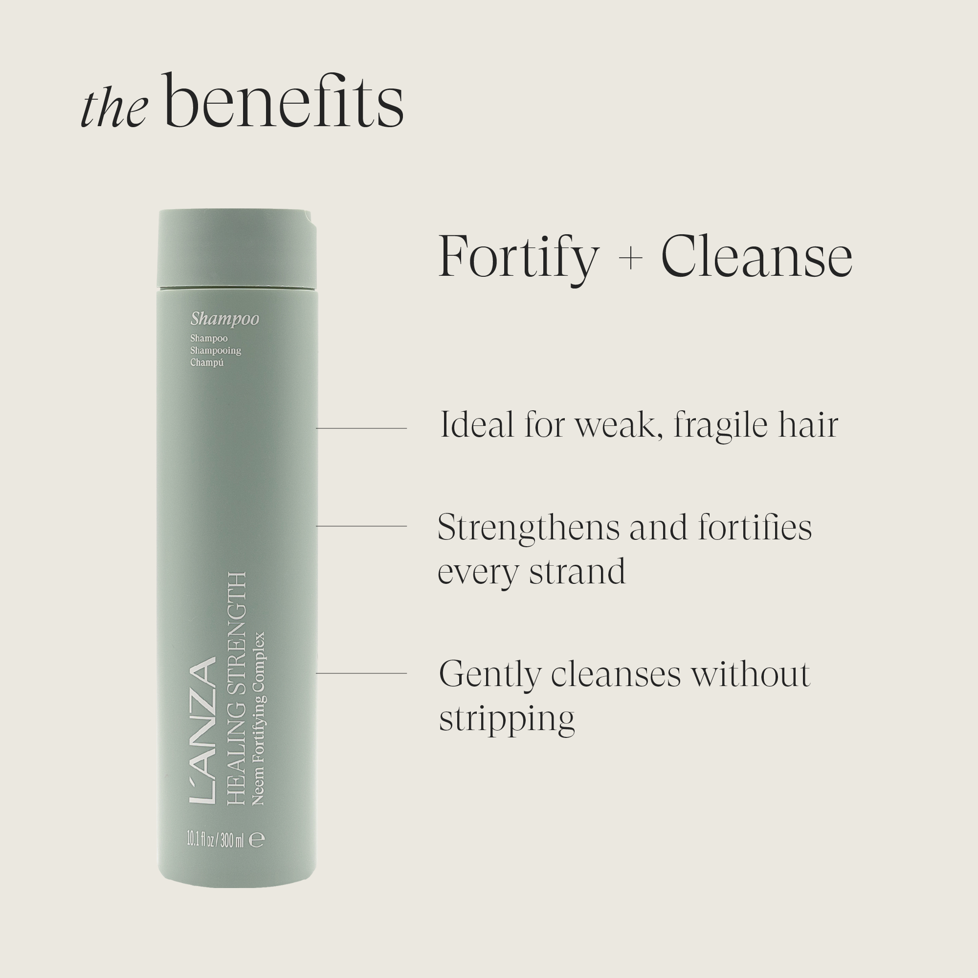 Strength White Tea Shampoo