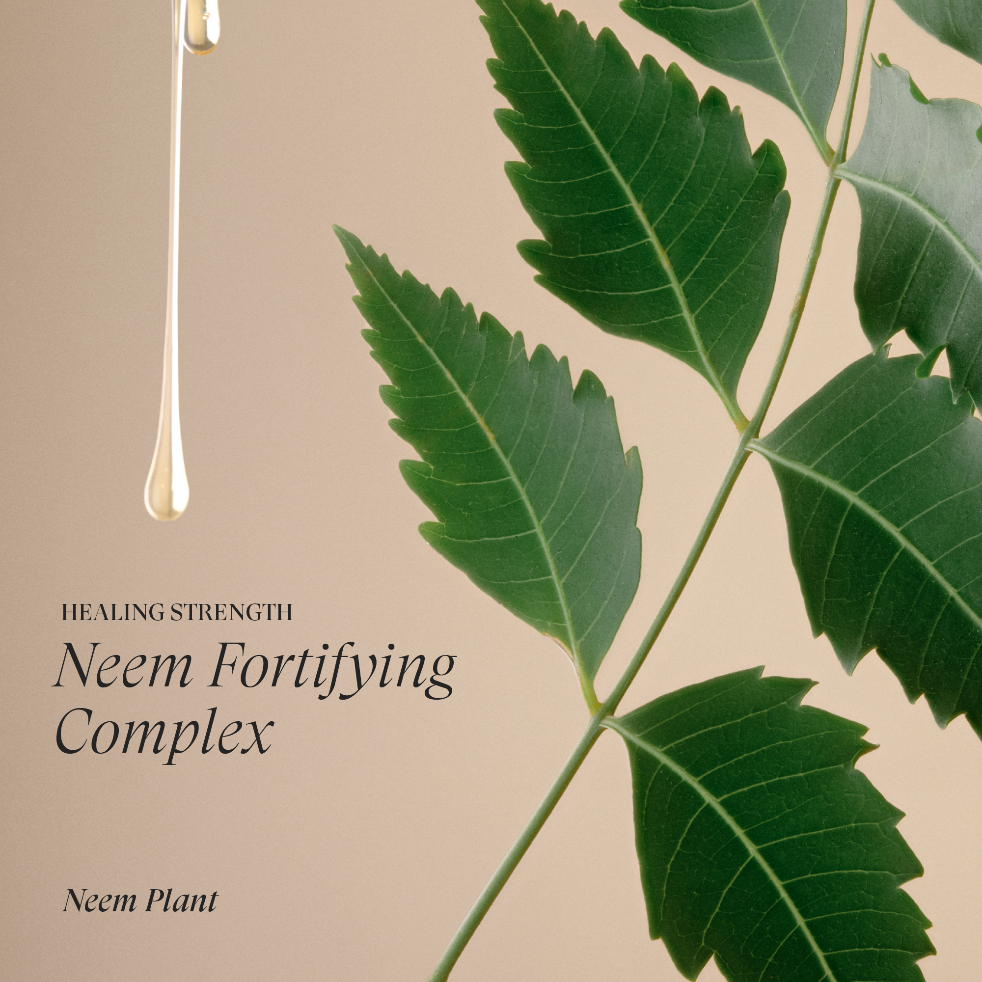 Neem Plant Detangling Primer
