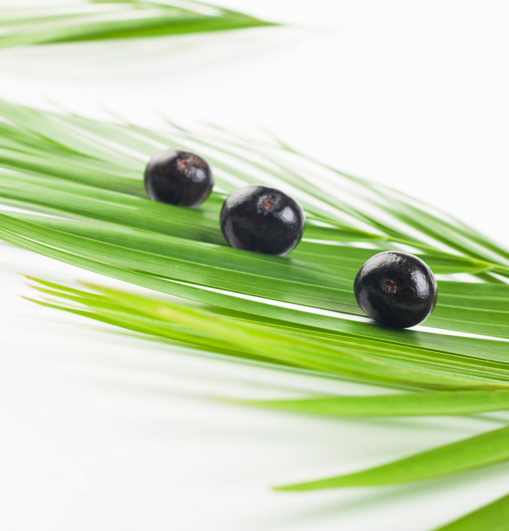 Hair Treatment Oil