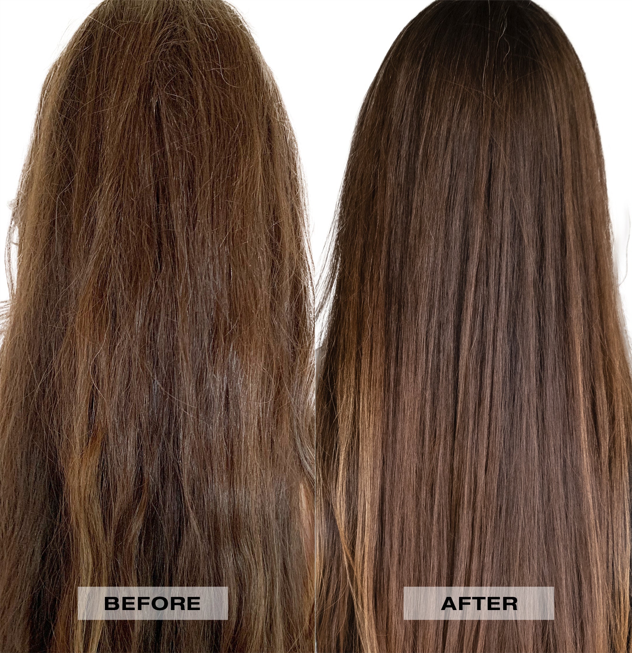 Moisture Tamanu Cream Shampoo