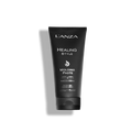 Molding Paste