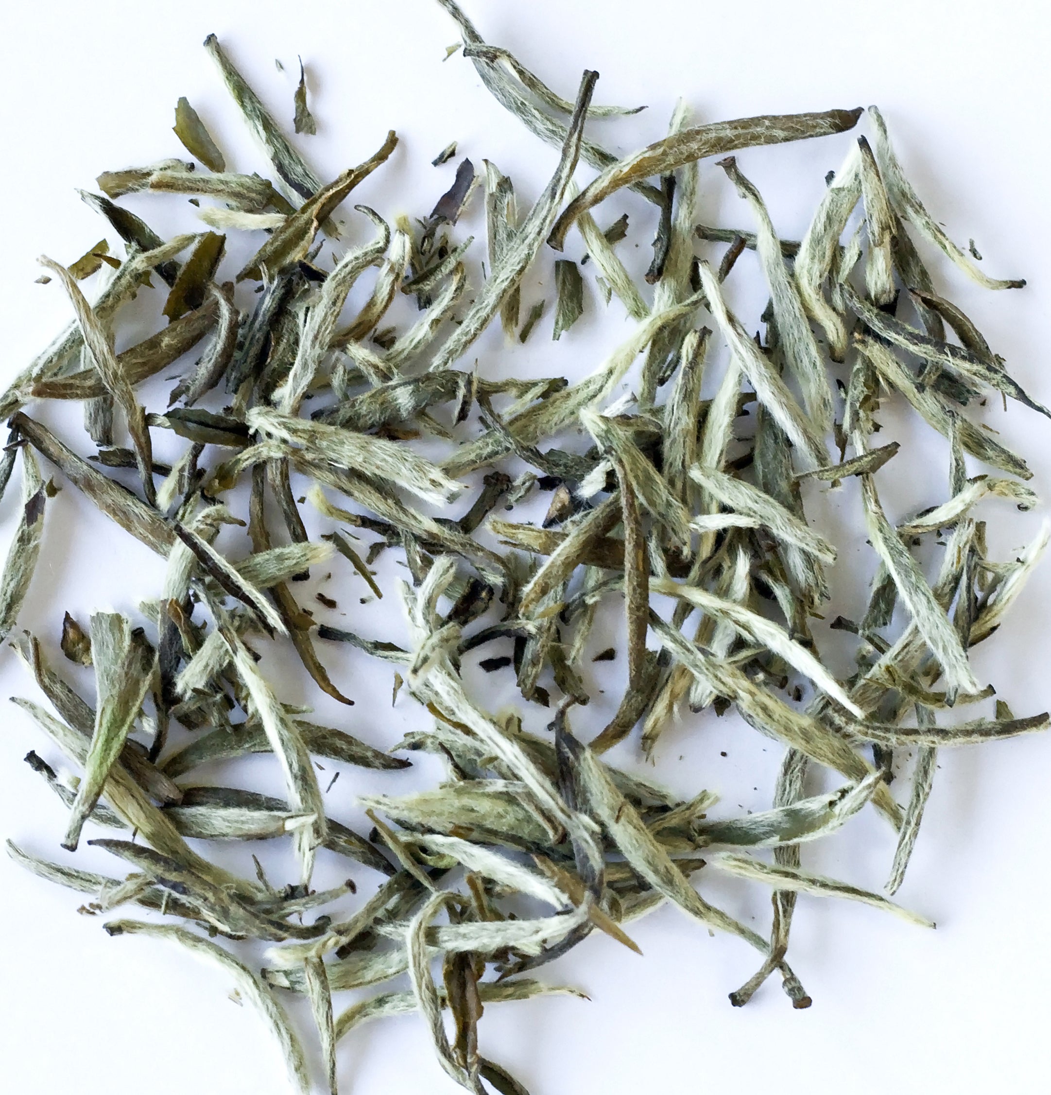 Strength White Tea Shampoo