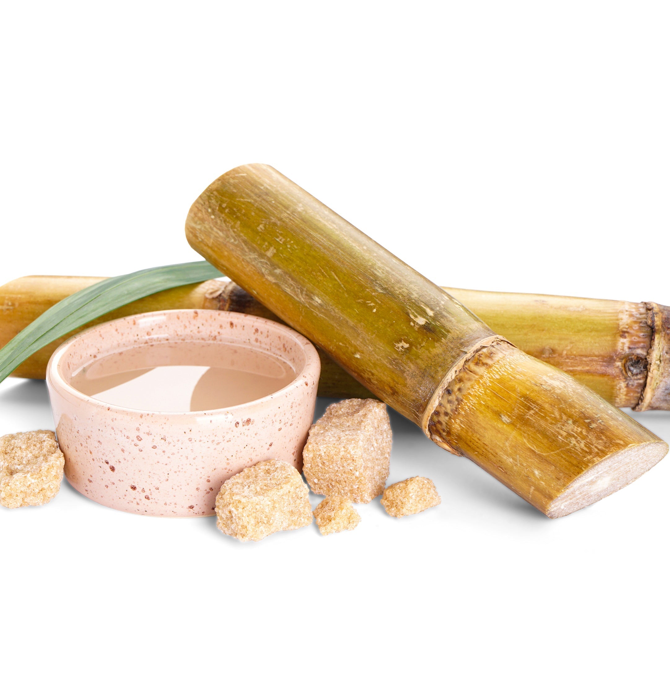 Moisture Kukui Nut Conditioner